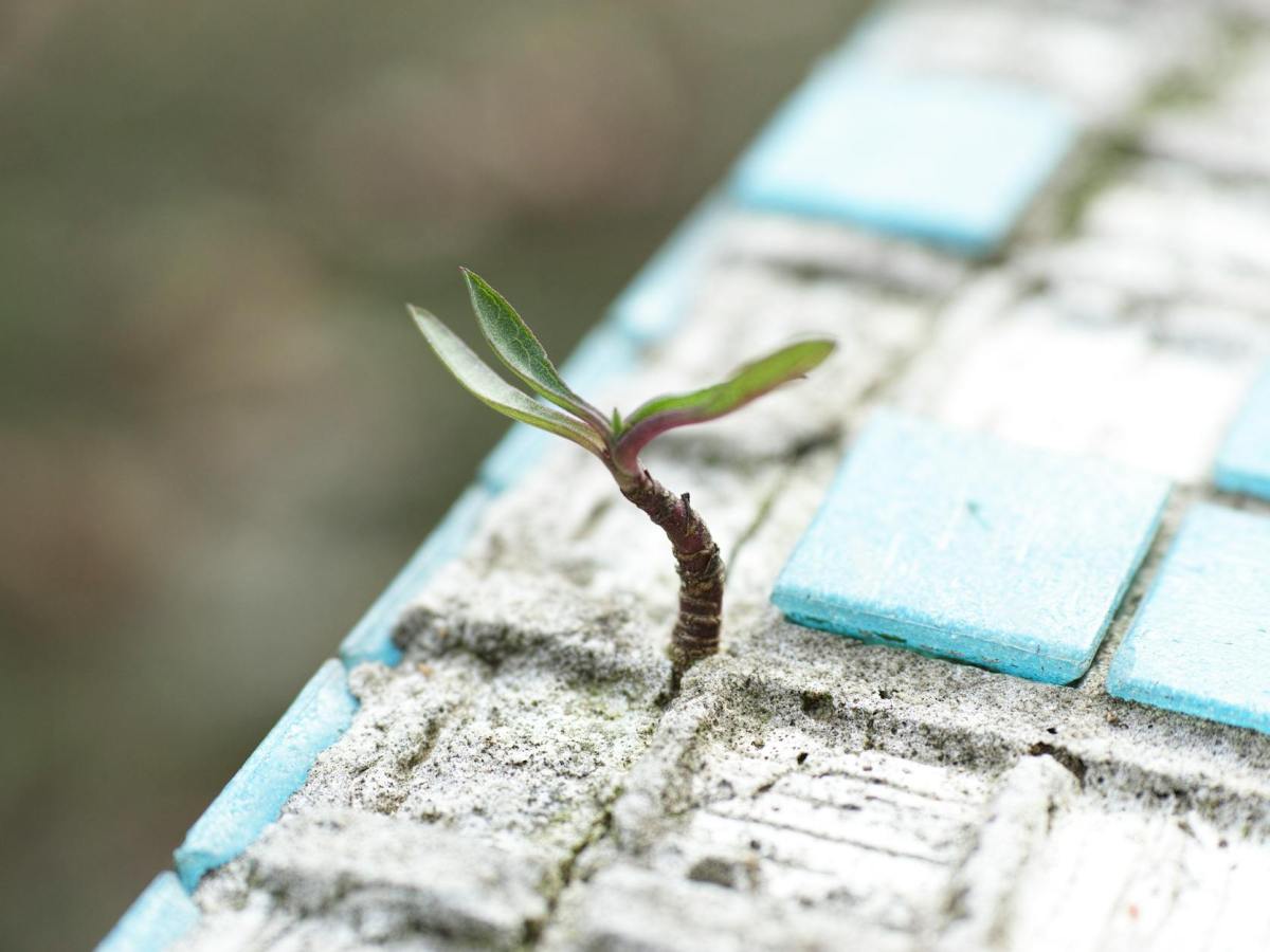 Stuck on Autopilot? Top 10 Reasons You Need a Life Coach (and How to Find the Perfect&nbsp;One!)